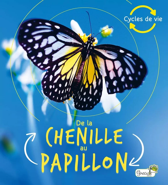 De la chenille au papillon - Camilla De La Bedoyere - GRENOUILLE