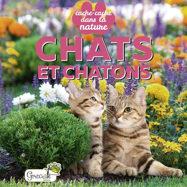 Chats et chatons -  Collectif - GRENOUILLE