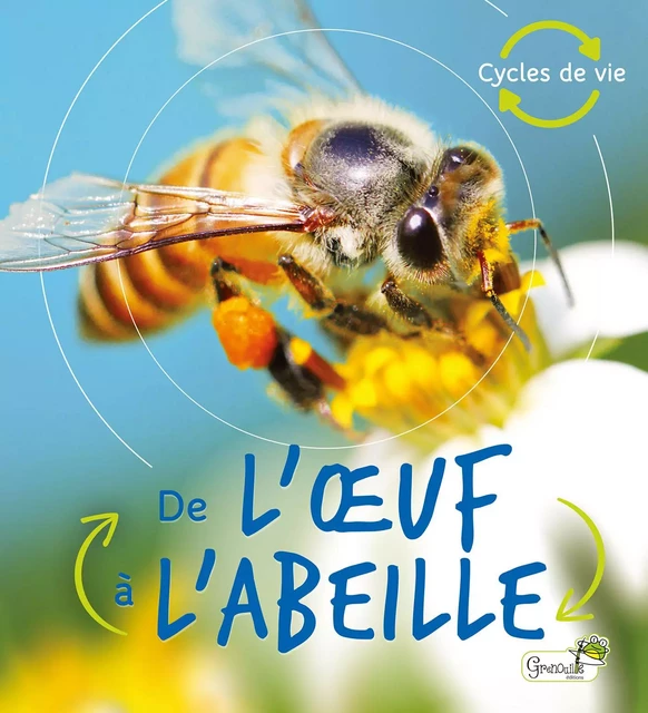 De l'oeuf à l'abeille - Camilla De La Bedoyere - GRENOUILLE