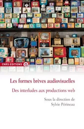 Les formes brèves audiovisuelles - Des interludes aux productions web