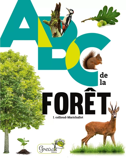 ABC de la forêt - Isabelle Collioud-Marichallot - GRENOUILLE