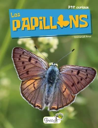 Les papillons