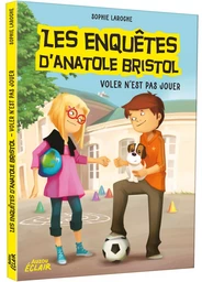 LES ENQUÊTES D'ANATOLE BRISTOL - VOLER N'EST PAS JOUER