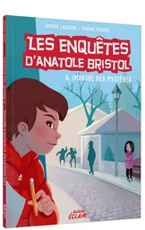 LES ENQUÊTES D'ANATOLE BRISTOL - 6, IMPASSE DES MYSTÈRES