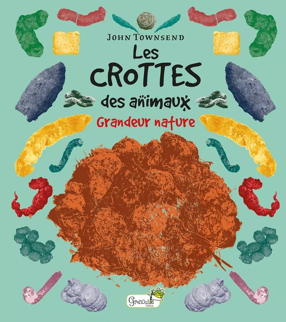 Les crottes des animaux -  - GRENOUILLE