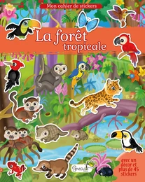 Forêt tropicale