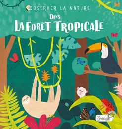 Dans la forêt tropicale