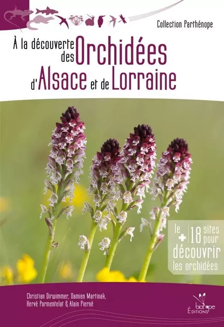 À la découverte des orchidées d'Alsace et de Lorraine -  C DIRWIMMER - BIOTOPE