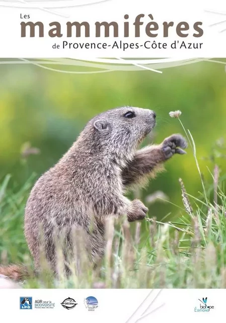 LES MAMMIFERES DE PROVENCE-ALPES-COTE D'AZUR -  Collectif - BIOTOPE