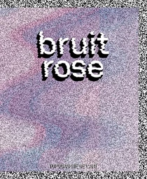 Bruit rose - exposition du 13 avril au 13 juin 2024, [Paris], Topographie de l'art