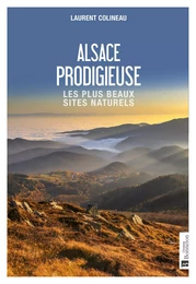 Alsace prodigieuse