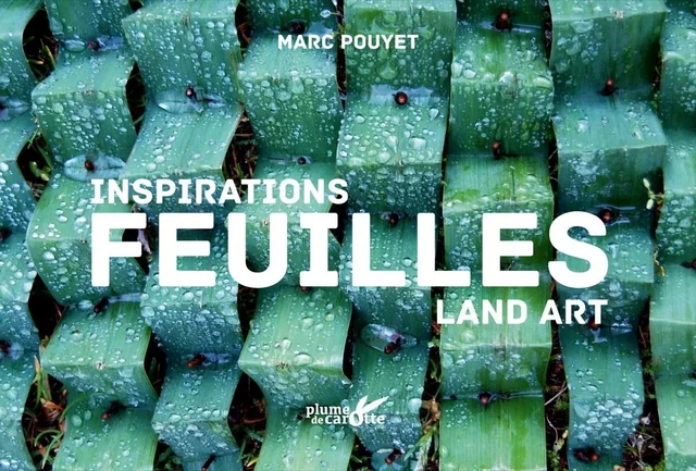 Inspiration land art, feuilles - Marc POUYET - PLUME CAROTTE