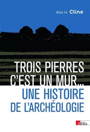 Trois pierres c'est un mur... Une histoire de l'archéologie