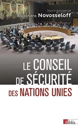 Le Conseil de sécurité des Nations Unies