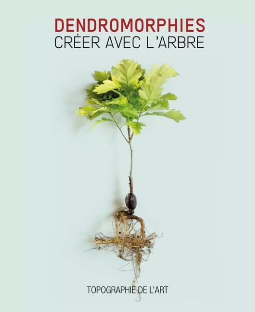 Dendromorphies - créer avec l'arbre -  - MANUFACTURE