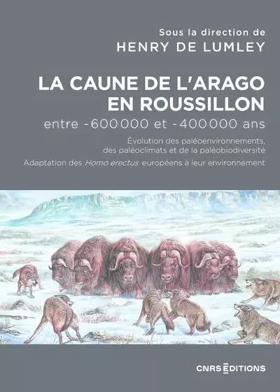 La Caune de l'Arago en Roussillon entre -600 000 et -400 000 ans - Les Homo Erectus européens dans l -  - CNRS editions