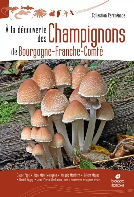 A la découverte des Champignons de Bourgogne-Franche-Comté - Claude Page, Jean-Marc Moingeon, Andgelo Mombert, Gilbert Moyne, Daniel Sugny, Jean-Pierre Dechaume - BIOTOPE