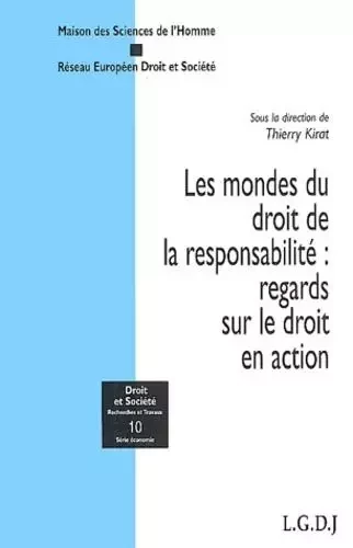 LES MONDES DU DROIT DE LA RESPONSABILITÉ : REGARDS SUR LE DROIT EN ACTION -  KIRAT T. - LGDJ