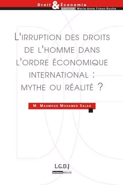 l'irruption des droits de l'homme dans l'ordre économique international : mythe - Mahmoud Mohamed Salah - LGDJ