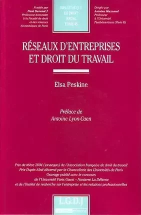 réseaux d'entreprise en droit du travail -  Peskine e. - LGDJ