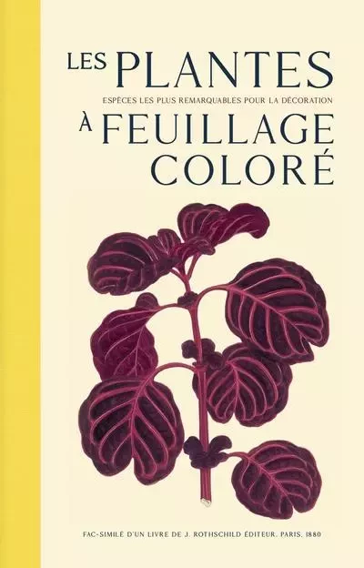 Les plantes à feuillage coloré - Les espèces les plus remarquables pour la décoration - Edward Lowe - Editions Bibliomane