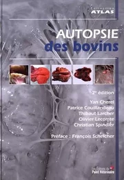 Autopsie des bovins