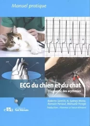 Ecg du chien et du chat