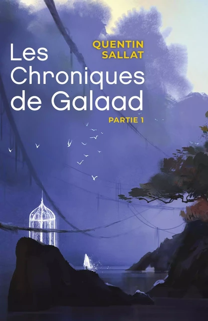 Les Chroniques de Galaad Partie 1 - Quentin Sallat - LIBRINOVA