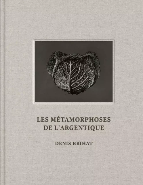 Les Métamorphoses de l'argentique - Denis Brihat - Denis BRIHAT - BEC EN AIR