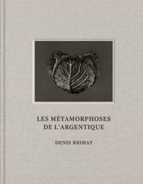 Les Métamorphoses de l'argentique - Denis Brihat