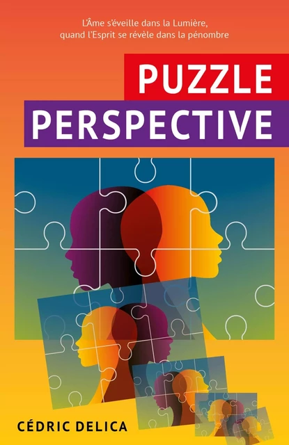 Puzzle perspective - Cédric Delica - LIBRINOVA