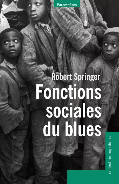 FONCTIONS SOCIALES DU BLUES - Robert SPRINGER - PARENTHESES