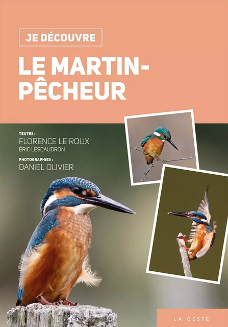 Je découvre le martin-pêcheur - Florence Le Roux - GESTE