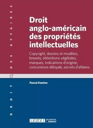 droit anglo-américain des propriétés intellectuelles