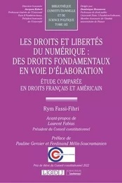 Les droits et libertés du numérique : des droits fondamentaux en voie d'élaboration