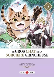 Le Gros Chat et la Sorcière grincheuse - vol. 03