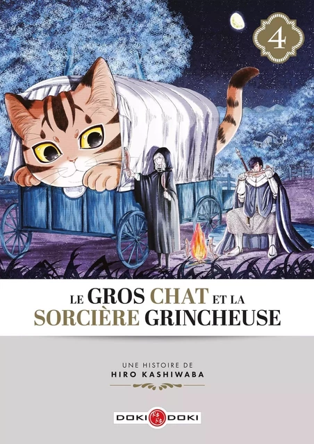 Le Gros Chat et la Sorcière grincheuse - vol. 04 -  - BAMBOO