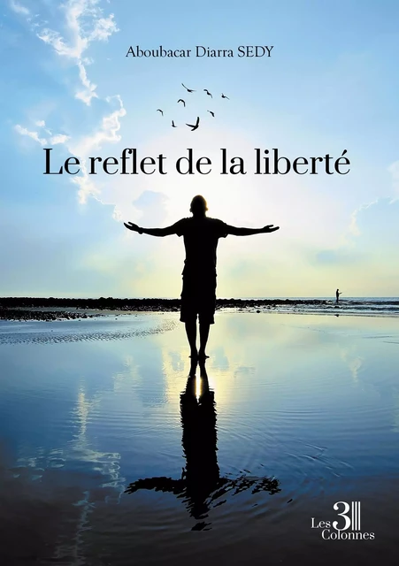 Le reflet de la liberté - Aboubacar Diarra SEDY - TROIS COLONNES