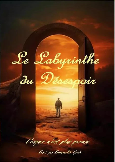 Le labyrinthe du désespoir - Emmanuelle Genin - THEBOOKEDITION