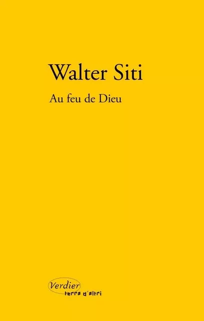 Au feu de Dieu - Walter Siti - VERDIER