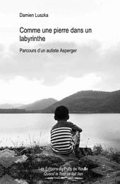 Comme une pierre dans un labyrinthe - Parcours d'un autiste Asperger