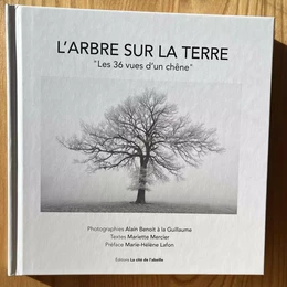 L'arbre sur la terre