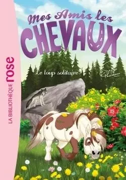 Mes amis les chevaux 08 - Le loup solitaire - Hachette Livre - HACHETTE JEUN.