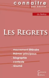 Fiche de lecture Les Regrets de Joachim du Bellay (Analyse littéraire de référence et résumé complet)