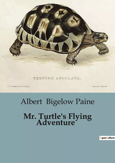 Mr. Turtle's Flying Adventure - Albert Bigelow Paine - CULTUREA