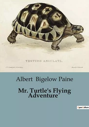 Mr. Turtle's Flying Adventure