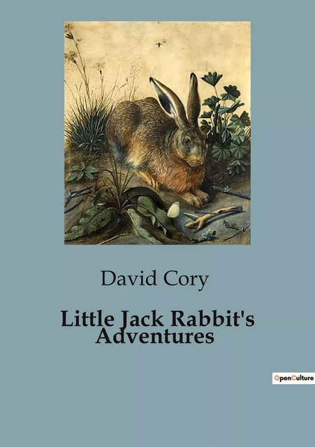 Little Jack Rabbit's Adventures - David Cory - CULTUREA