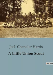 A Little Union Scout