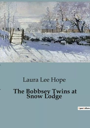 The Bobbsey Twins at Snow Lodge