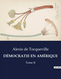 DÉMOCRATIE EN AMÉRIQUE